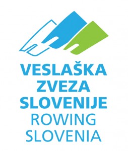 VZS logo 7